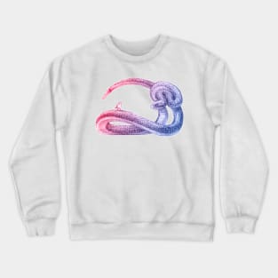 Hey, Little Songbird (red&blue) Crewneck Sweatshirt